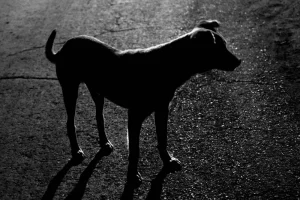16_soy-cuba-raulgomezr-fotografia